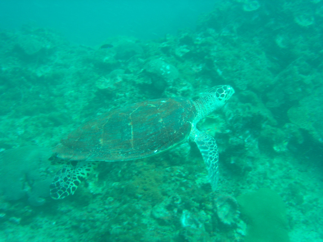 探险俱乐部-大皮皮岛必去景点