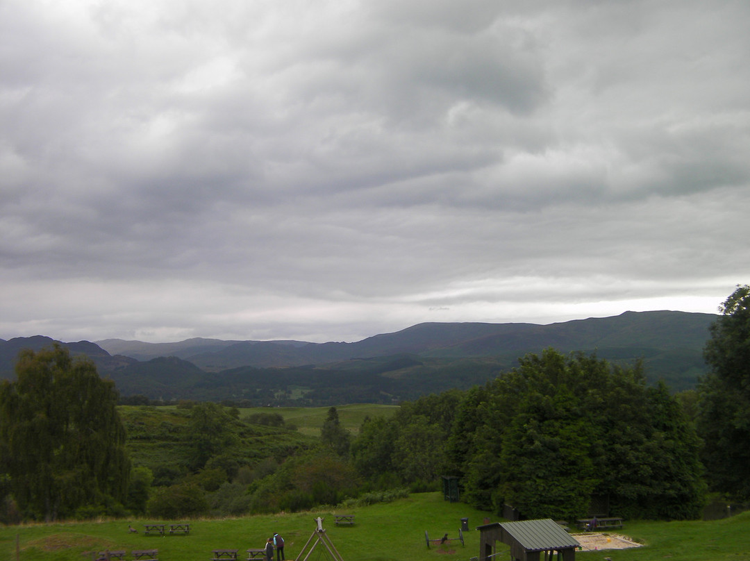 Auchingarrich Wildlife And Adventure Park-Comrie必去景点