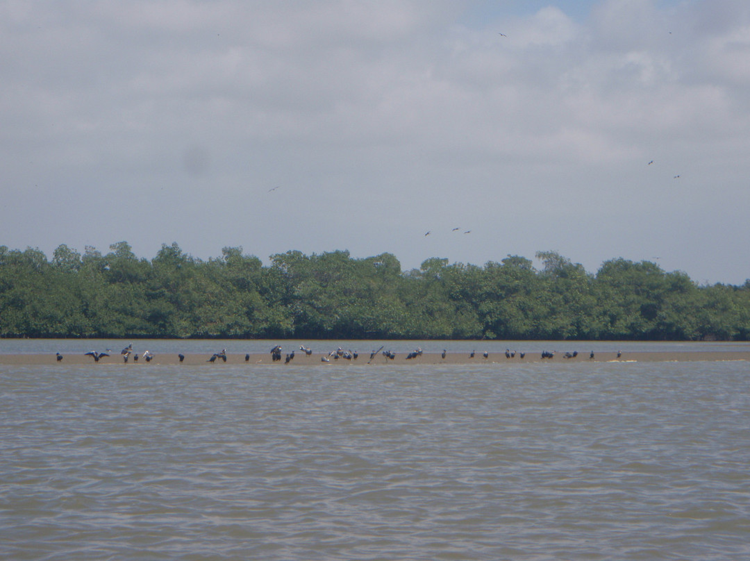 Los Manglares de Puerto Pizarro-Tumbes必去景点