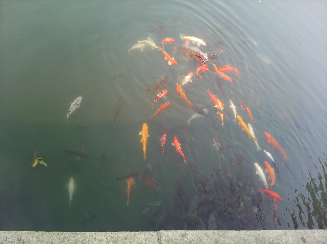 珍珠泉风景区-南京市必去景点