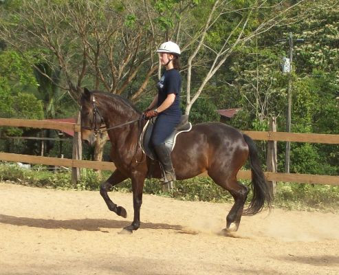 Establo San Rafael Natural Horsemanship景点图片