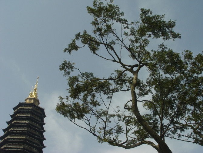 红梅公园-常州市必去景点