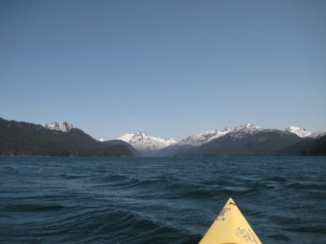 Halibut Cove Adventures-Halibut Cove必去景点