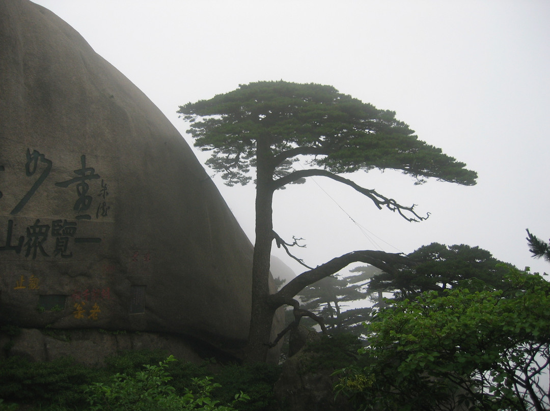 光明顶山庄主图