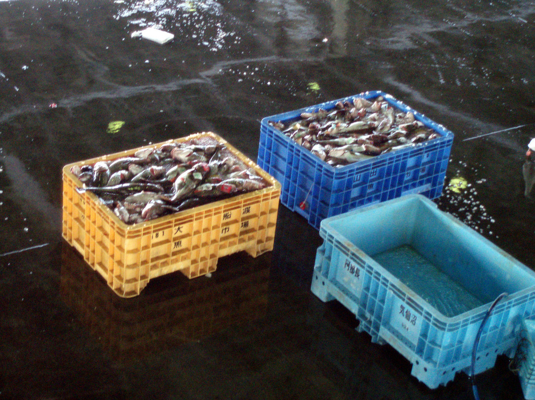 Kesennuma Fish Market-气仙沼市必去景点