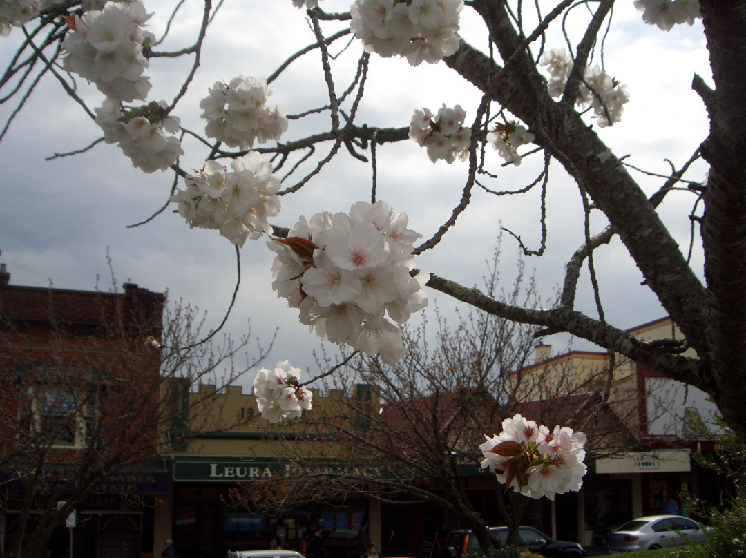 Leuralla-鲁拉镇必去景点