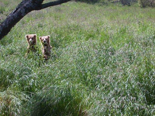 Savonoski Loop-卡特迈国家公园及自然保护区必去景点