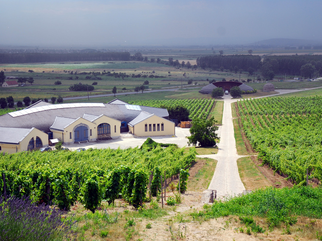 托卡伊葡萄酒产地景点图片