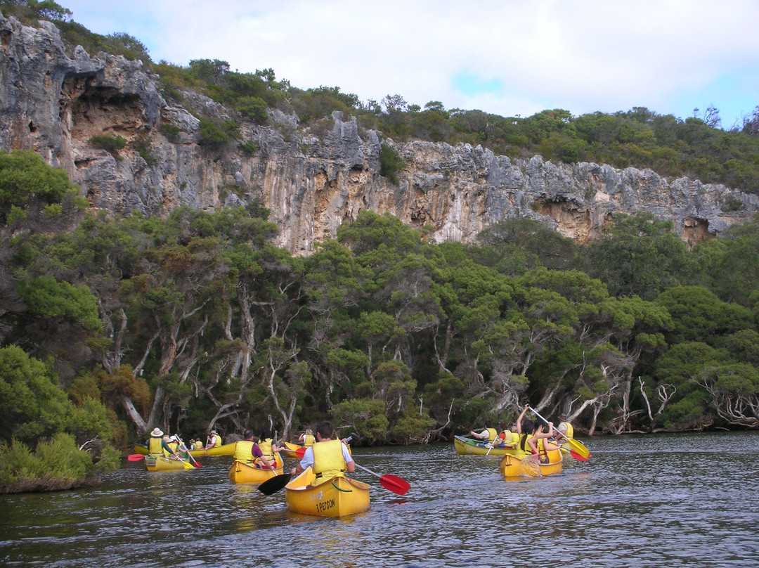 Bushtucker River & Wine Tours-玛格丽特河必去景点