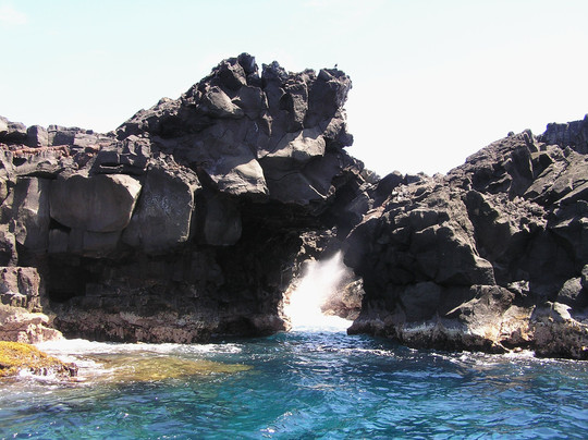 海豚发现之旅-凯鲁瓦-柯纳必去景点