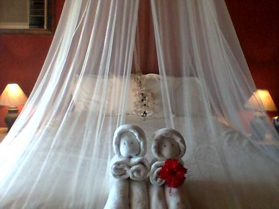 Cabo San Lucas Inn主图