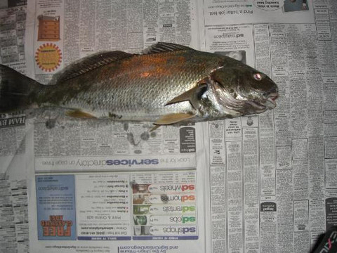 Silver Strand State Beach-科罗纳多必去景点