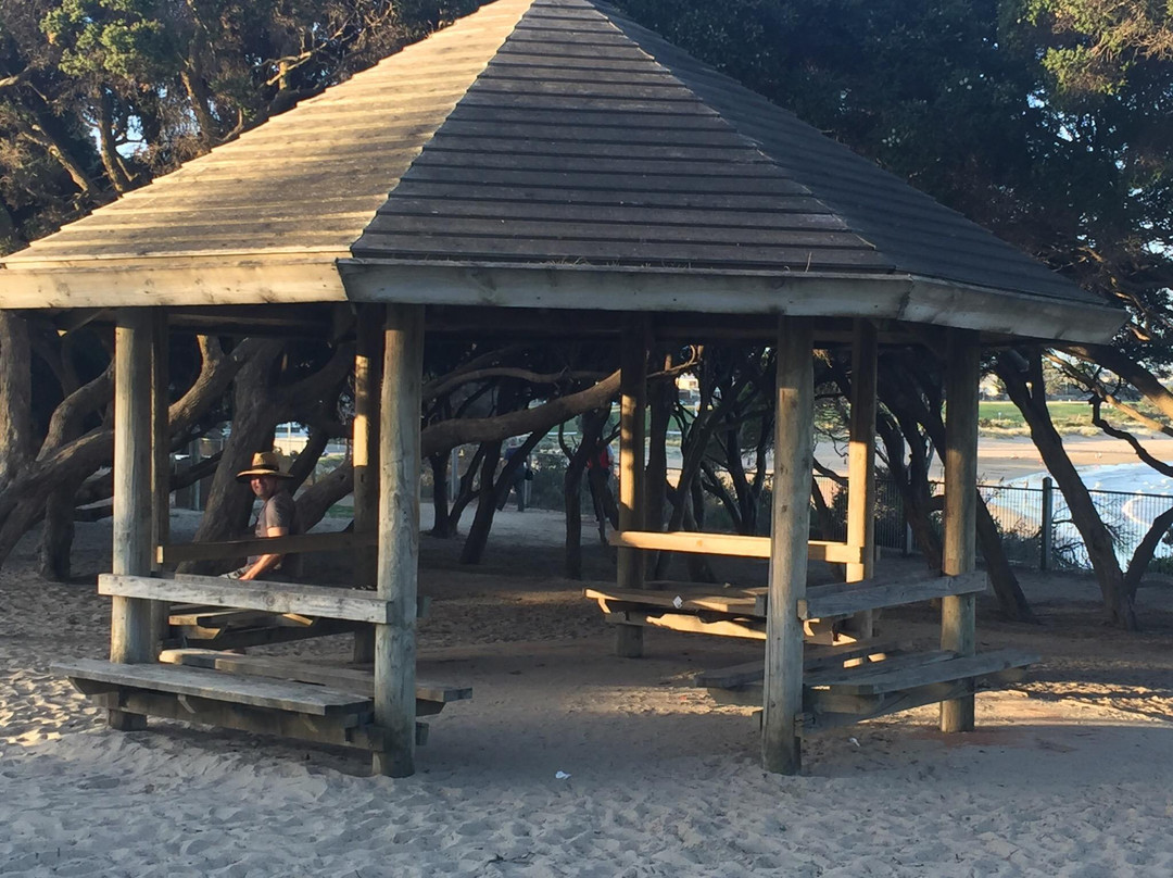 Torquay Foreshore Play Park-托基必去景点