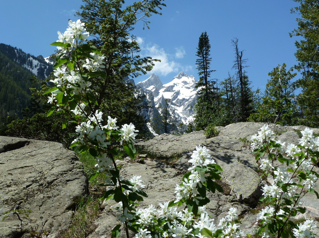 Inspiration Point-大提顿国家公园必去景点
