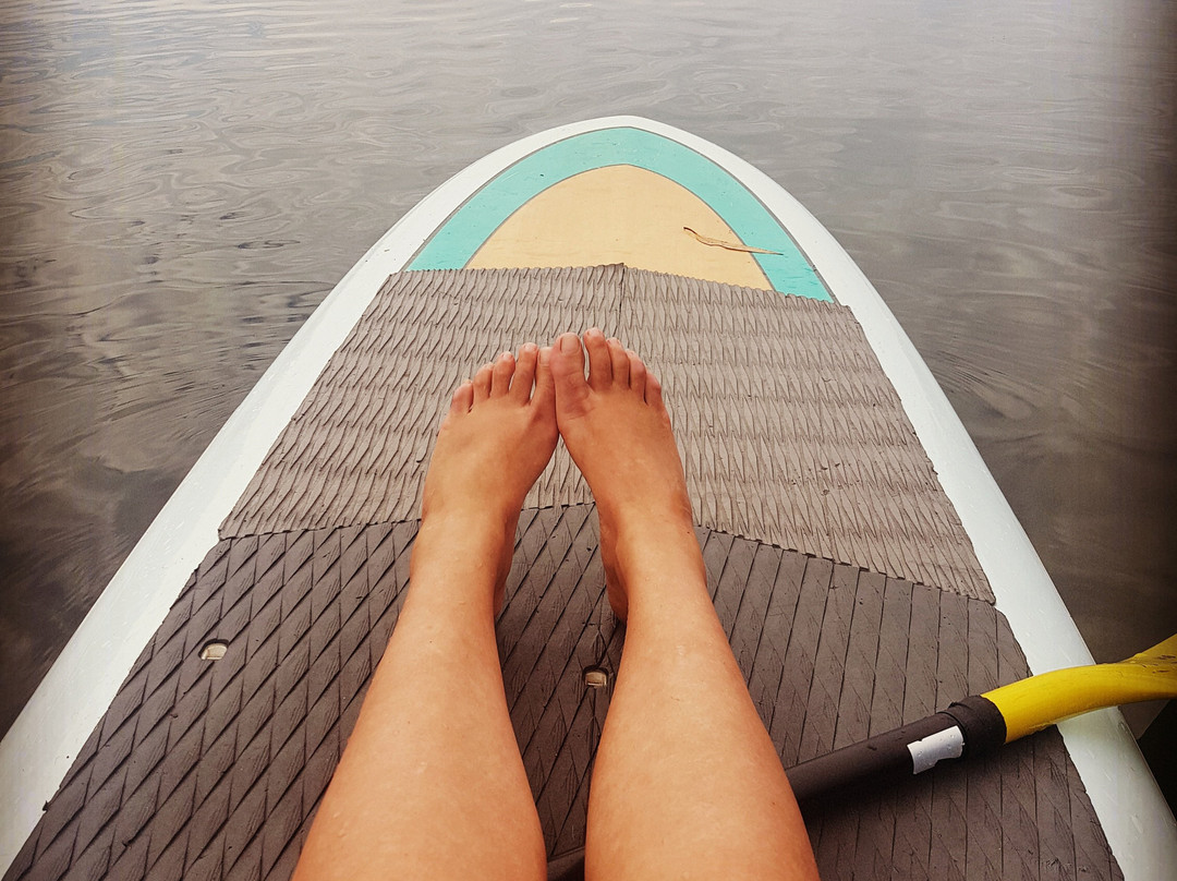 Jervis Bay Stand Up Paddle景点图片