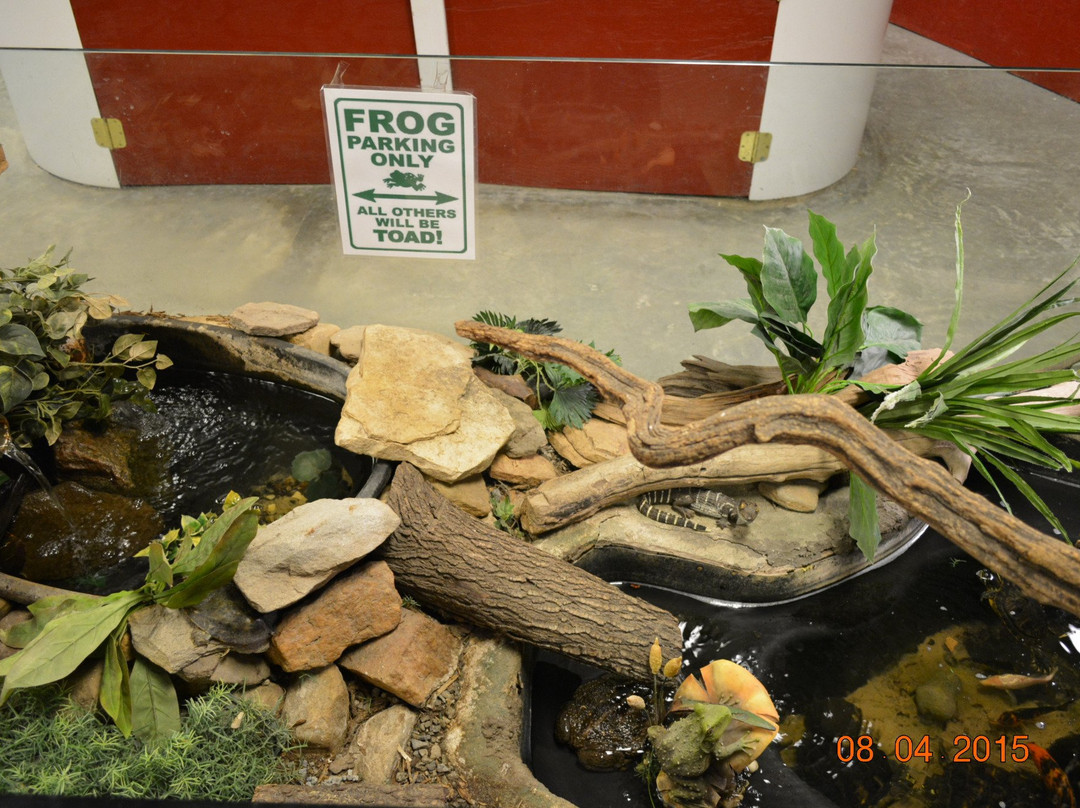 Grover餐馆和美食-Bee City