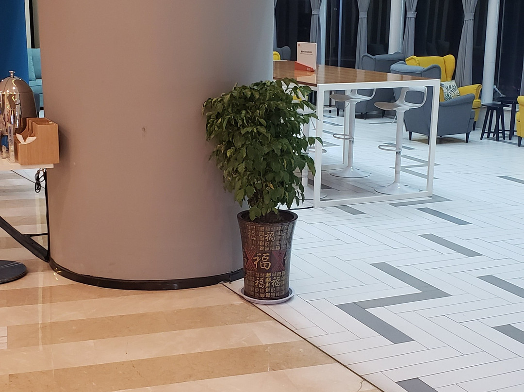 泰安中心智选假日酒店主图