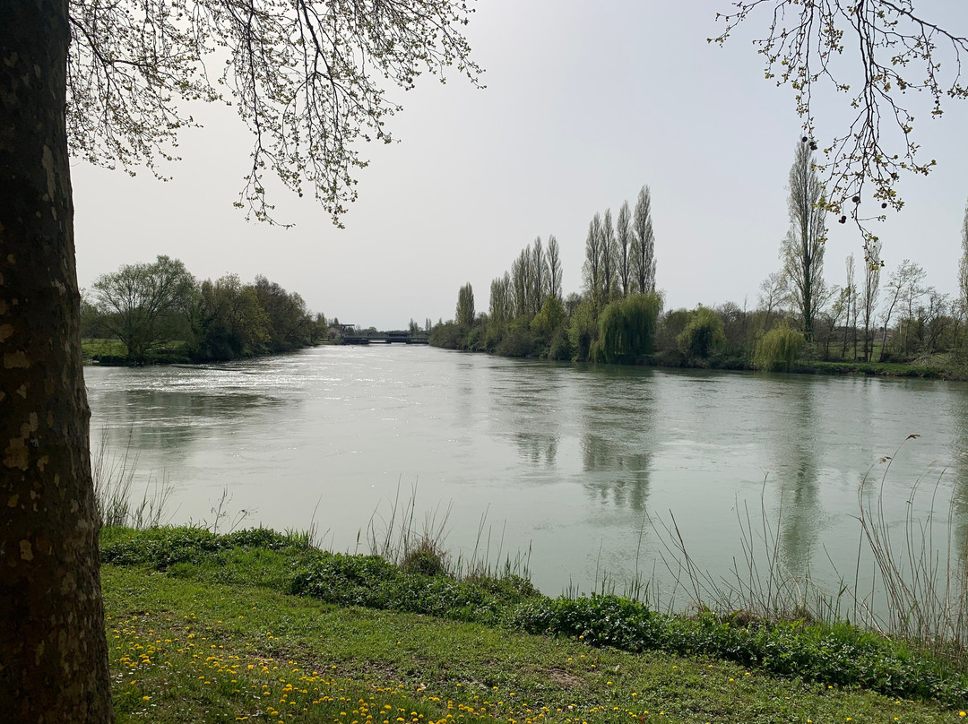 Eglise Saint Savinien