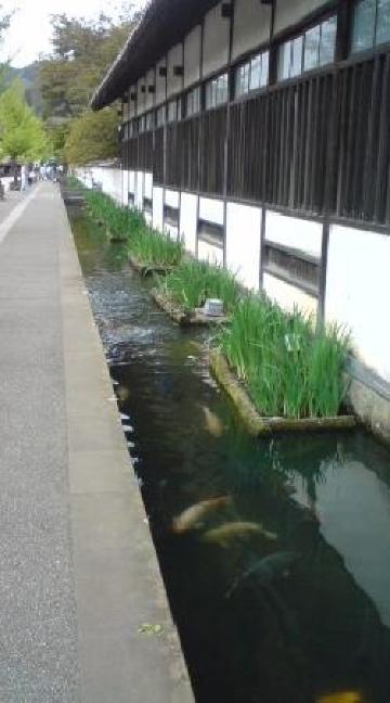 Wakasagi no Yado-客卧