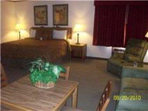 Single Tree Inn Hotel O