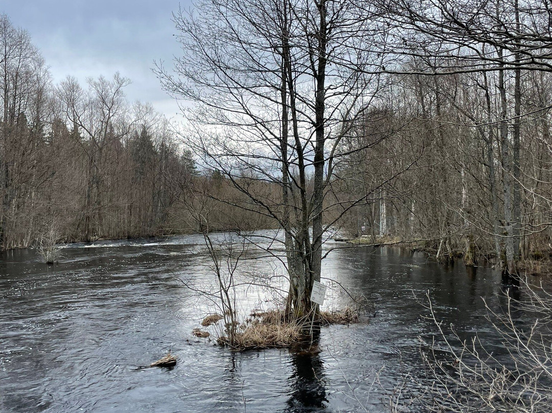 Illharjens Naturreservat-Vetlanda必去景点