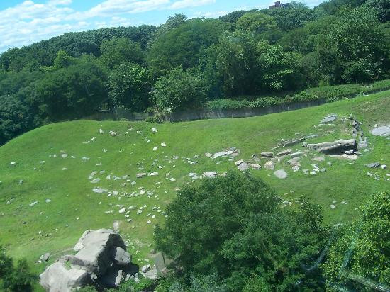 Bronx Zoo-布朗克斯必去景点