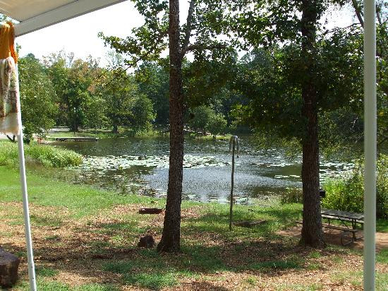 Tyler State Park景点图片