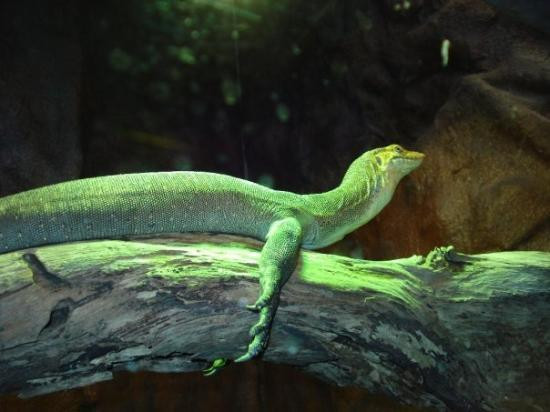 希尔斯维尔保护区-希尔斯维尔必去景点