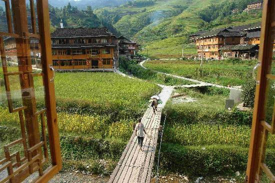 吾不知其名主图