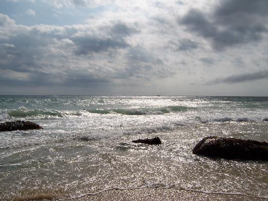 Aquinnah Cliffs景点图片