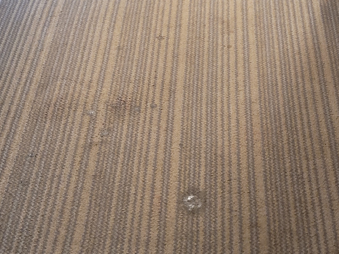 Country Inn & Suites by Radisson, Lima, OH主图