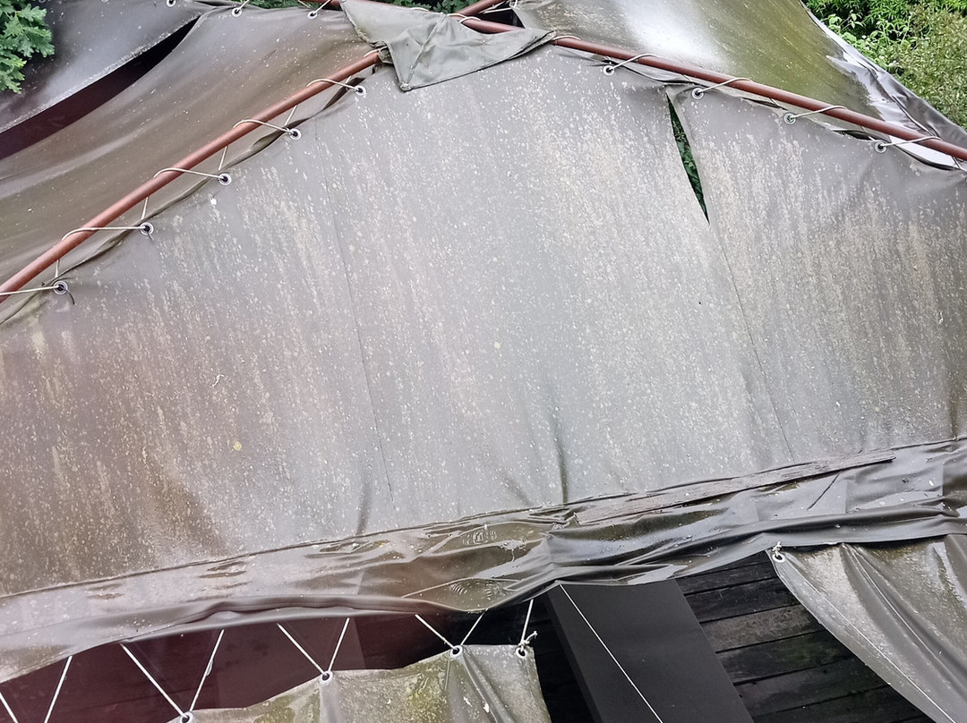 Hotel Borgo Nuovo主图