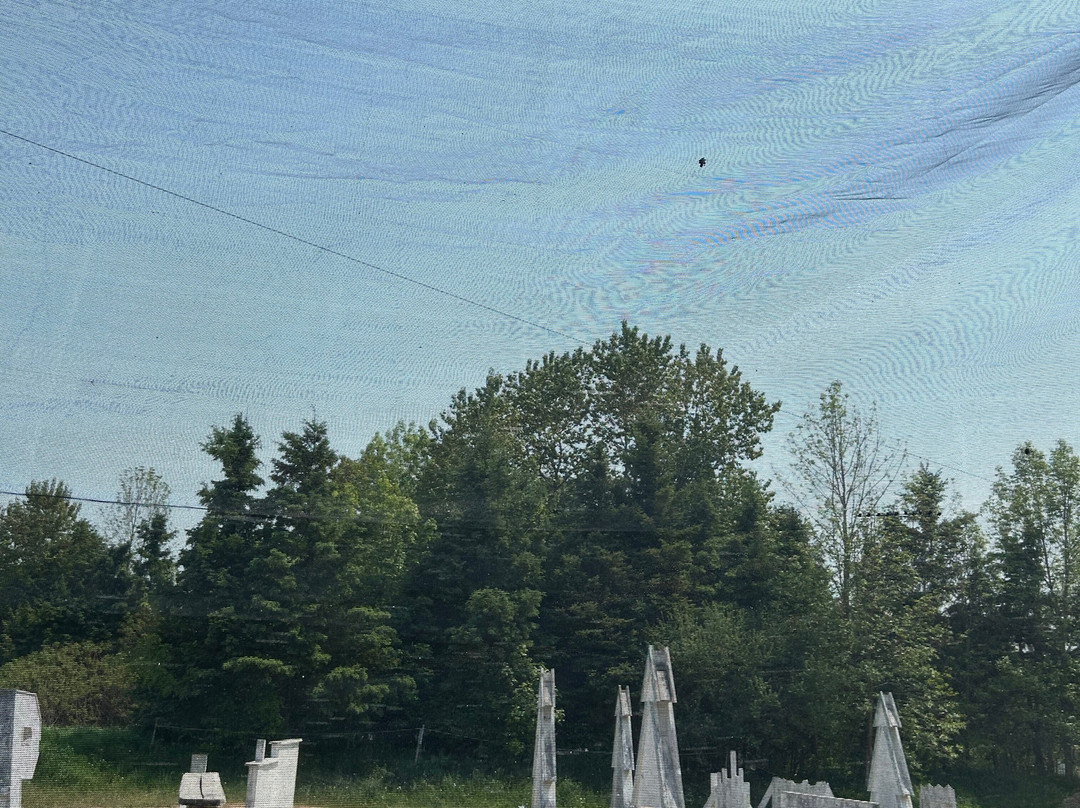 Wasaga Adventure Park景点图片