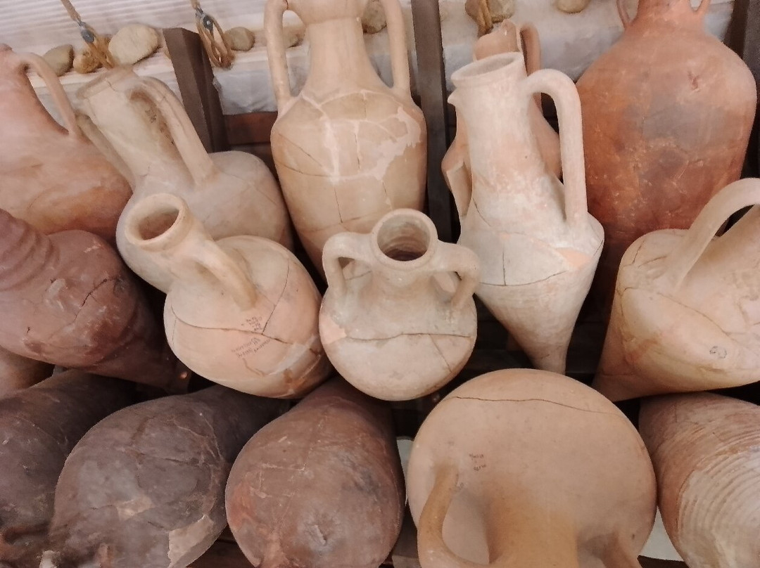 Gorgippiya Anapa Archeological Museum景点图片