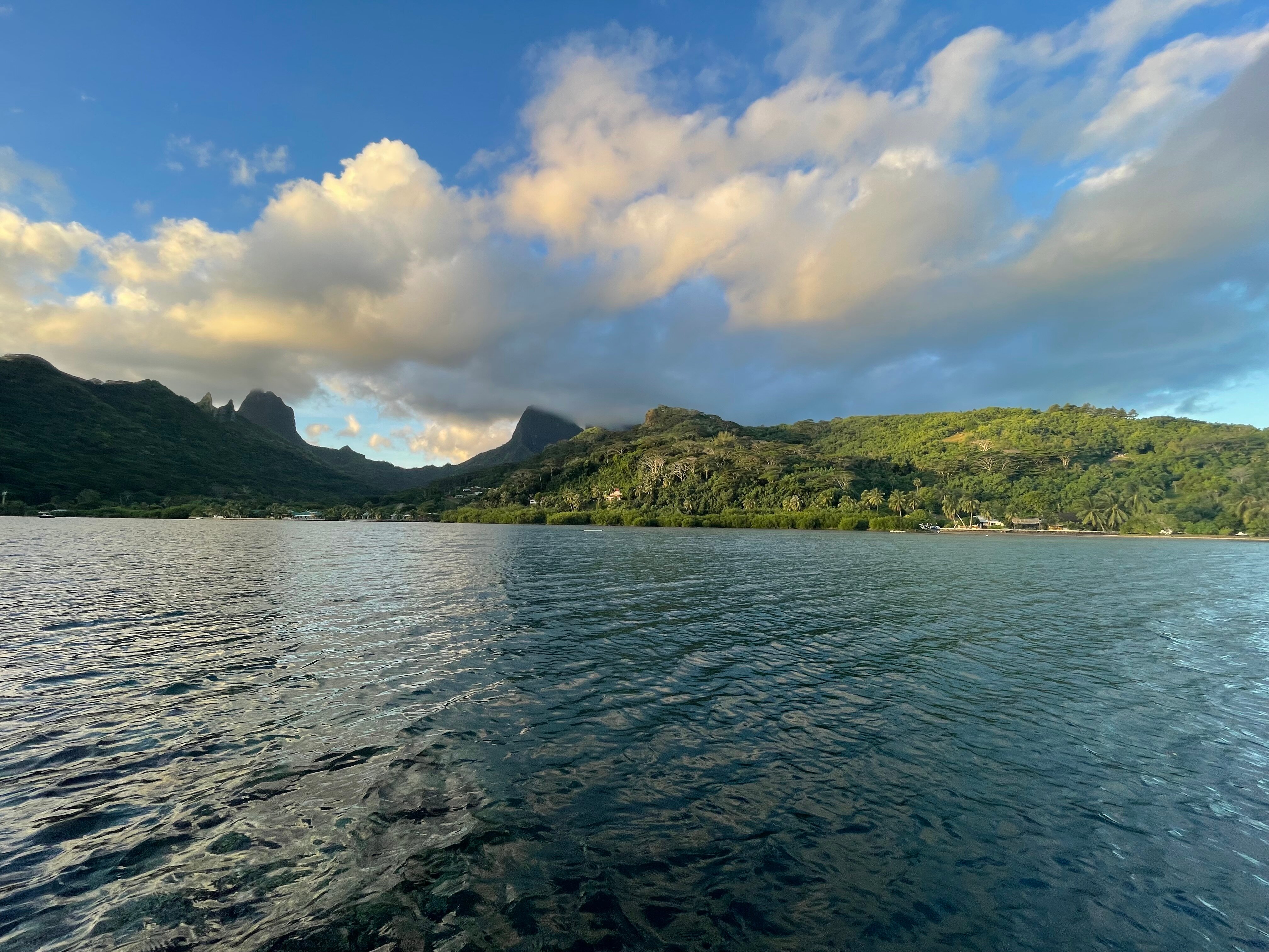 Moorea Surf Inn-浴室