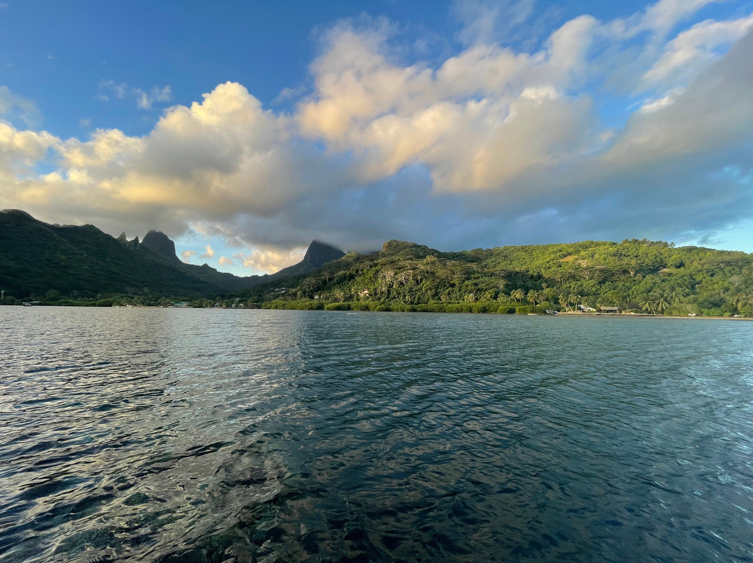Moorea Surf Inn主图
