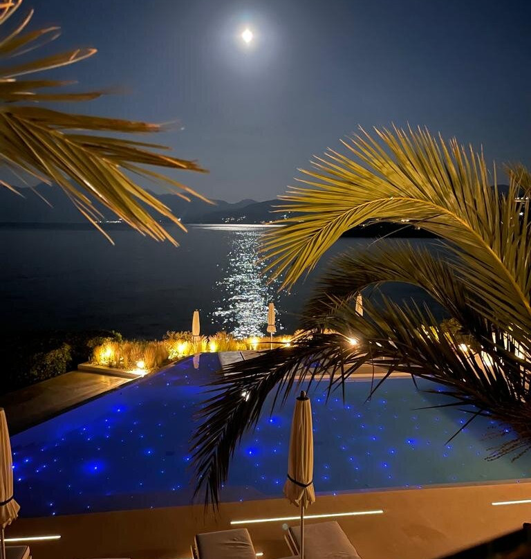 The Island Concept主图