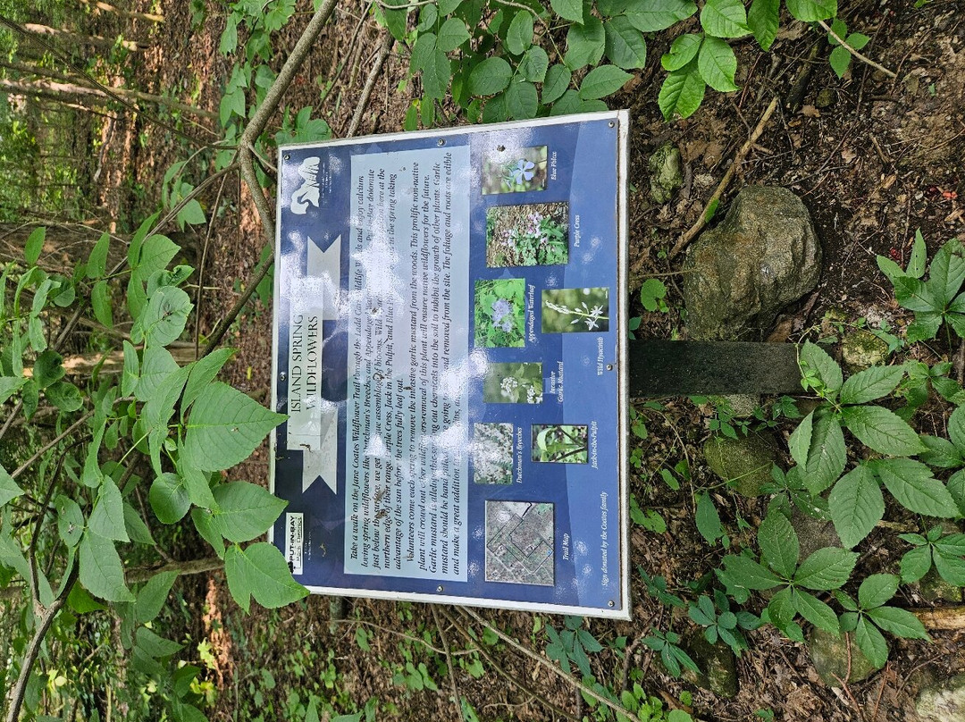Jane Coates Wildflower Trail-Put in Bay必去景点