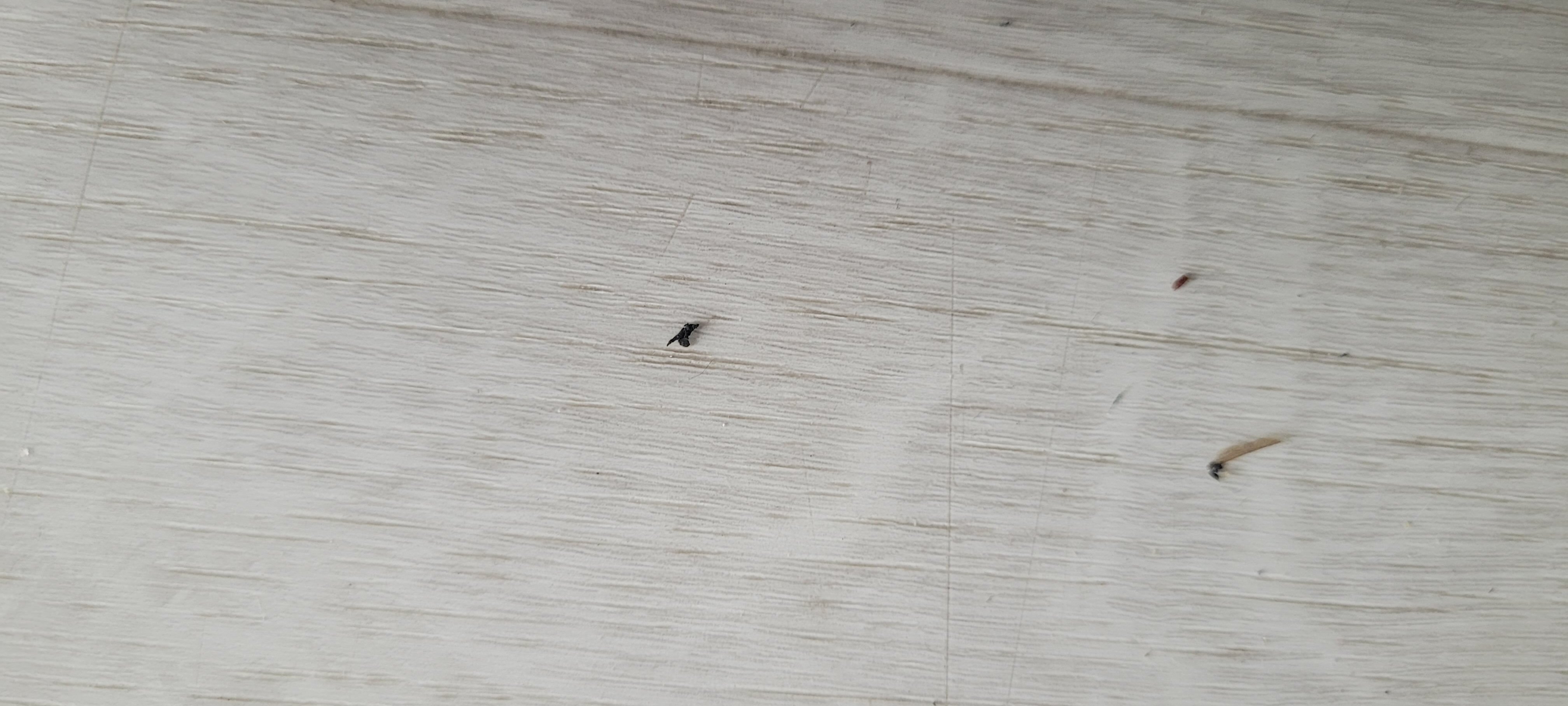 Hôtel Castel Luberon-客卧