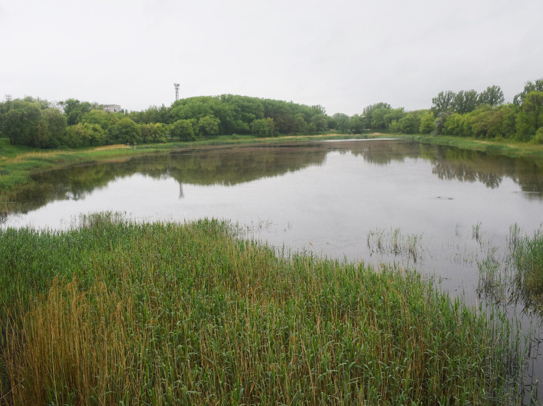 Gorodskoy Beach-Nevinnomyssk必去景点