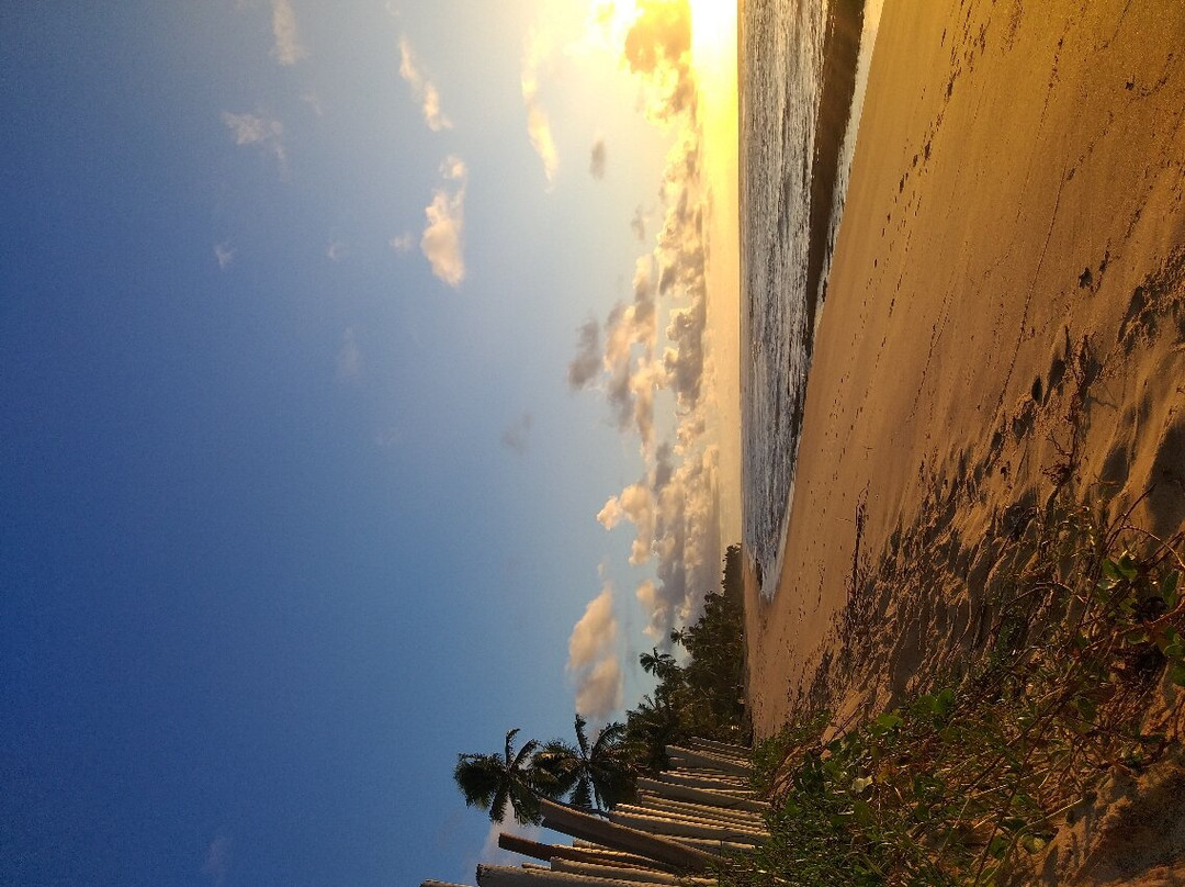 Hotel Pousada Tatuapara主图