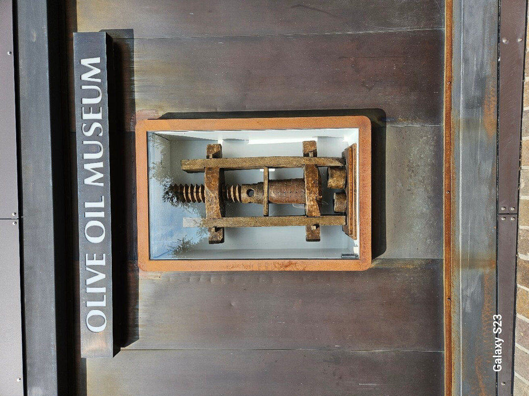 Museo Dell'olio D'oliva景点图片