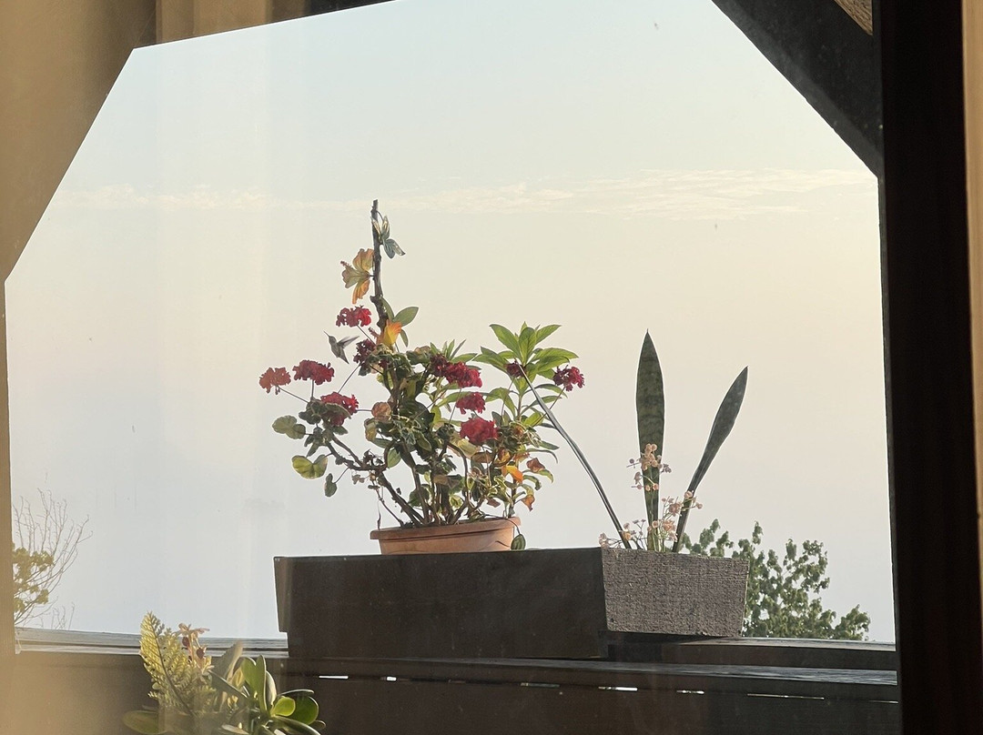 The Inn at Dresden主图