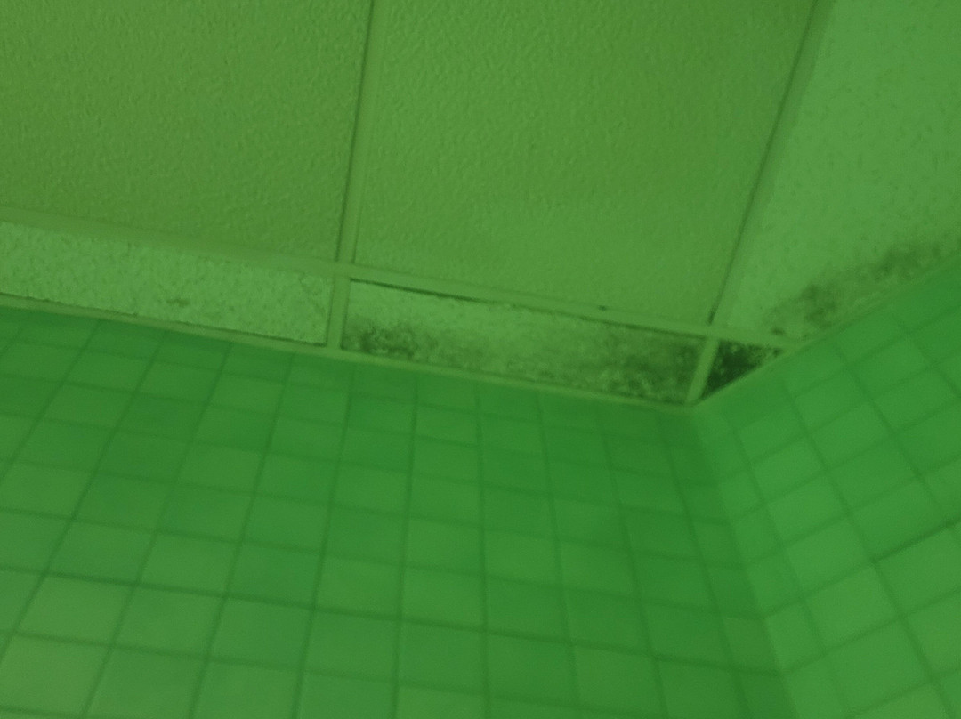 Shilo Inns Salem主图