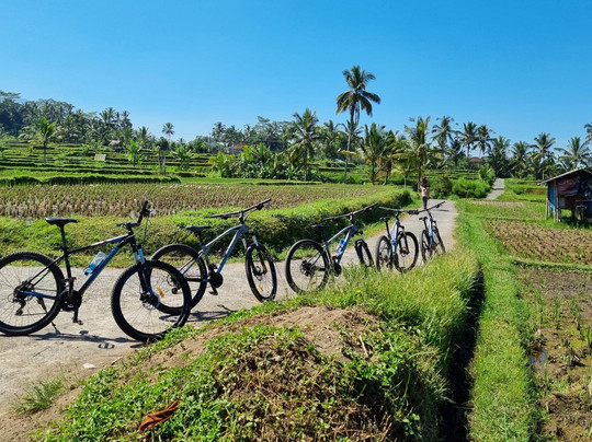 GOAT Bali Cycling & Tours-乌布必去景点