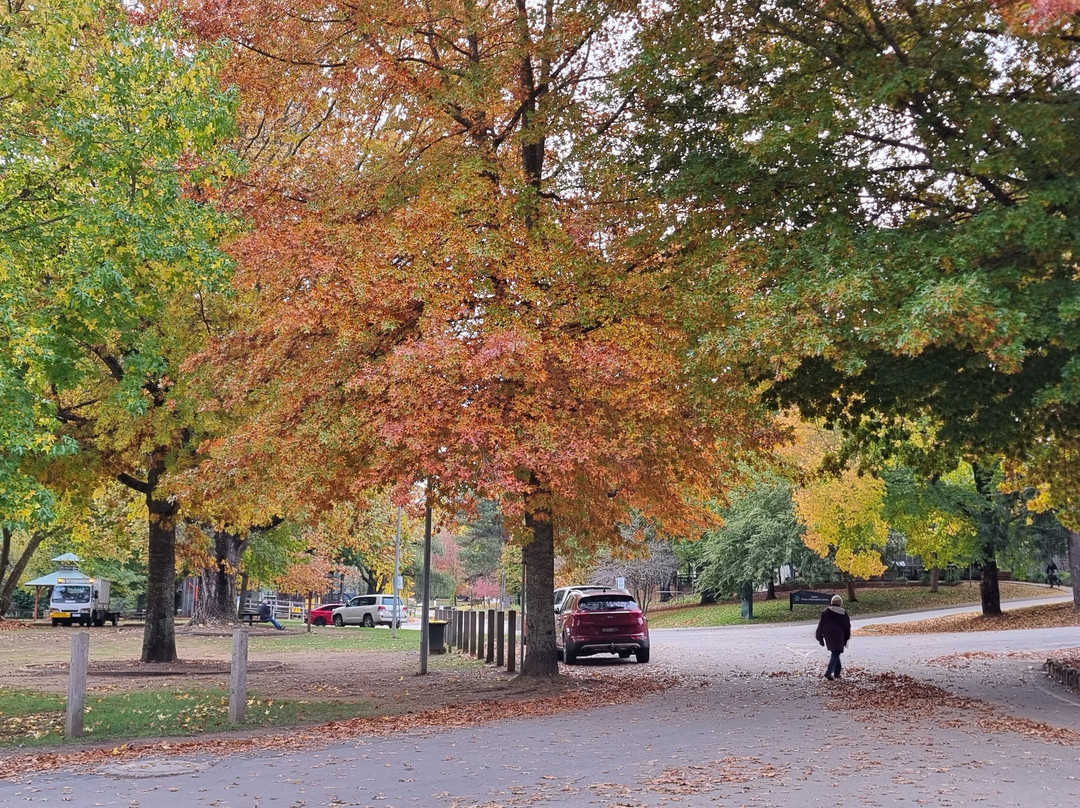 Howitt Park-布赖特必去景点