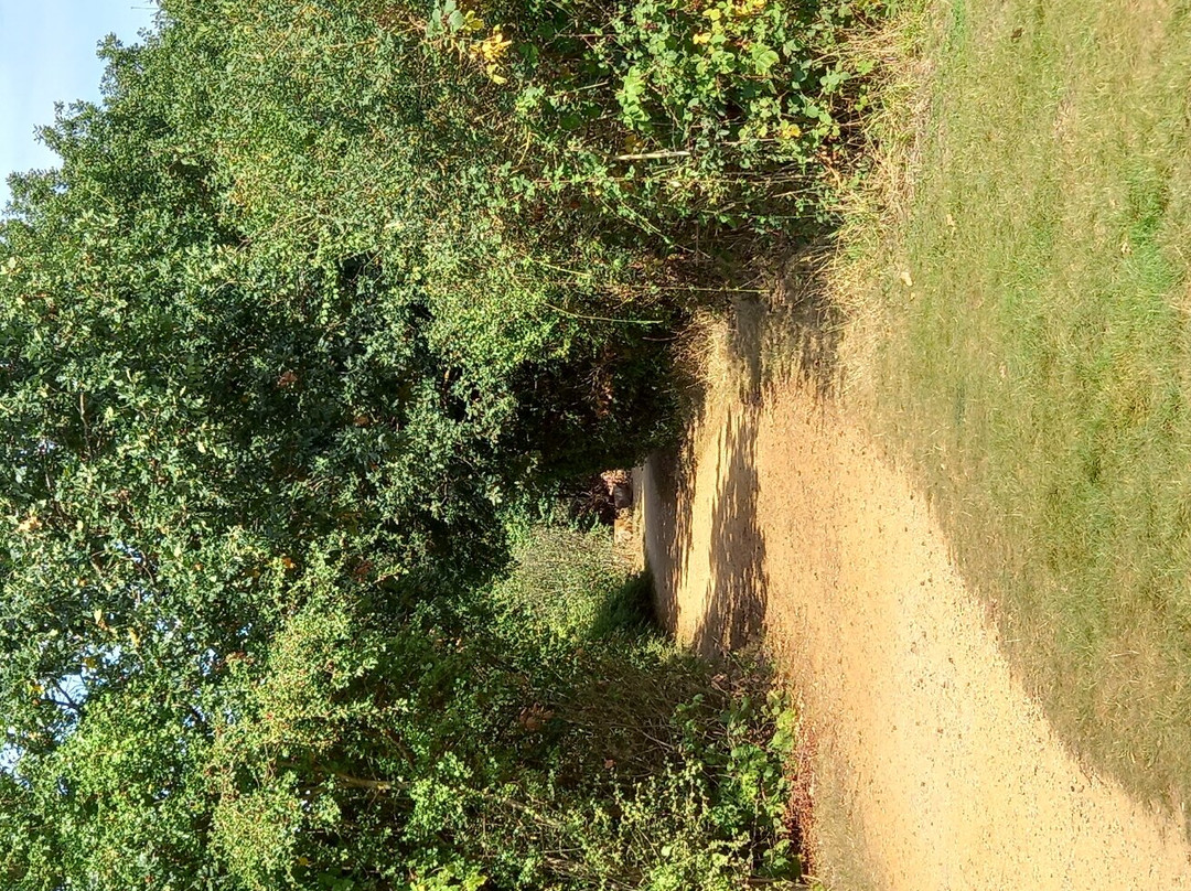 Fairlop Waters-伊尔福德必去景点