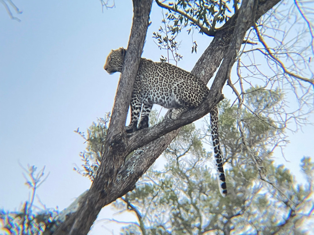 Wild Voyager-纽约市必去景点