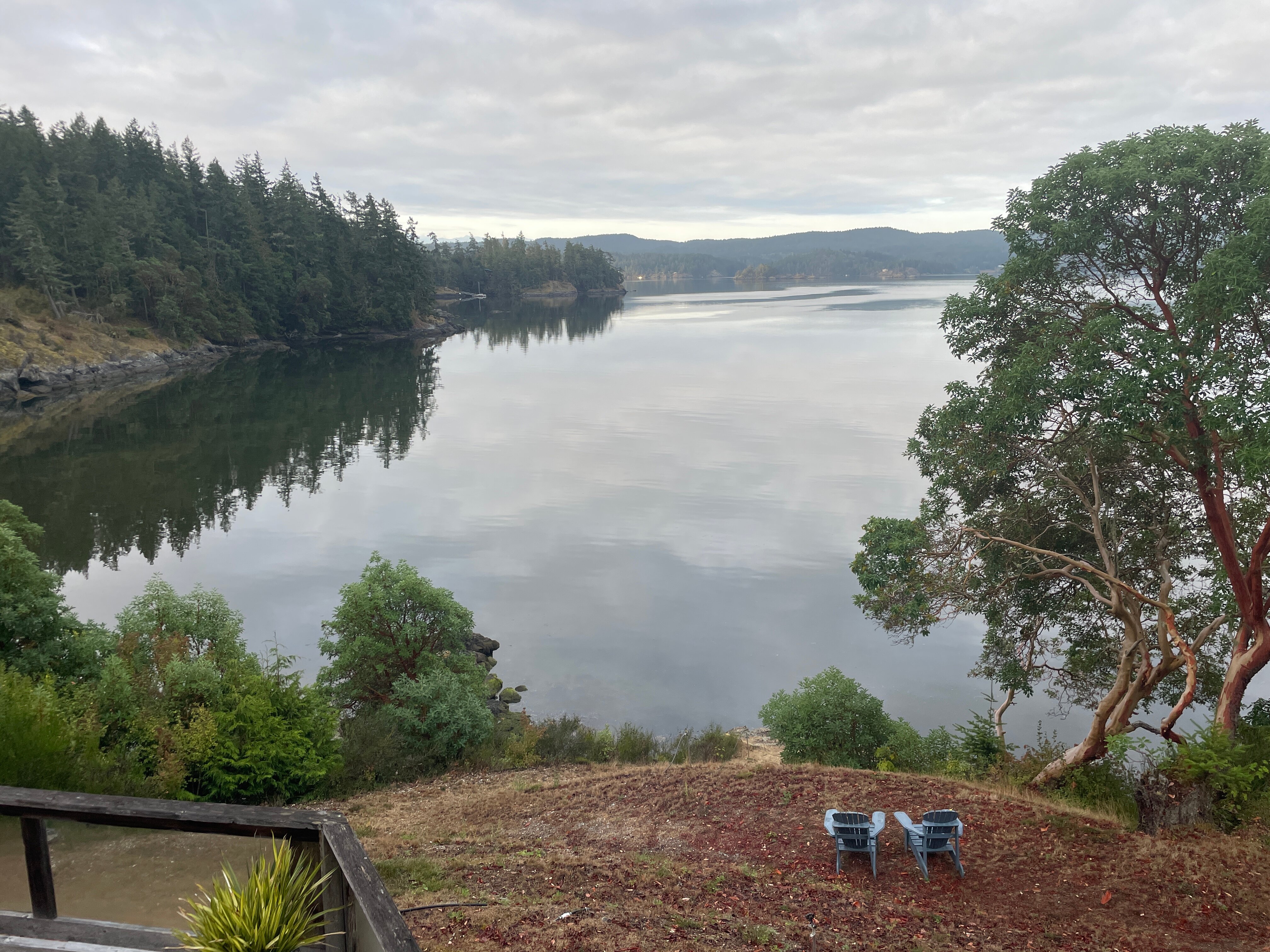 Arbutus Cove Guesthouse-官方