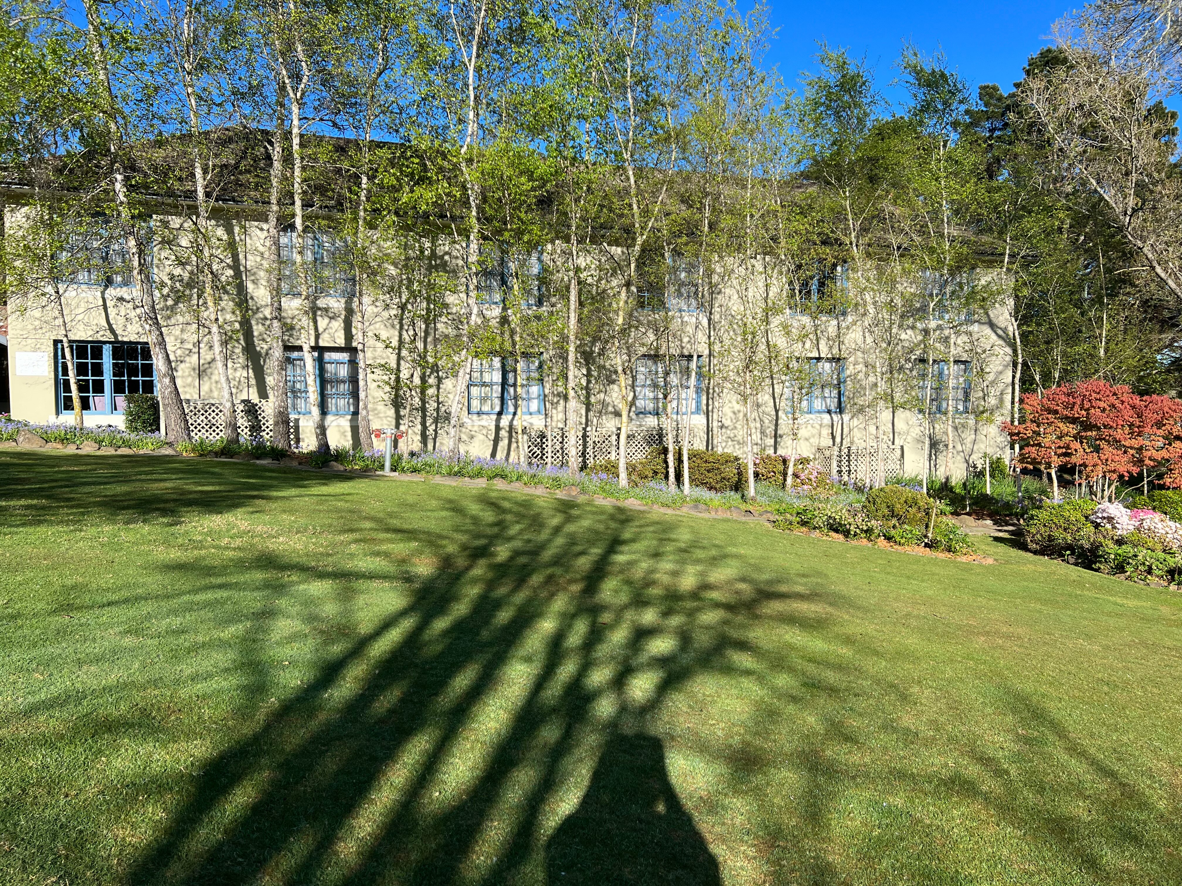 胡椒玛诺屋-客卧